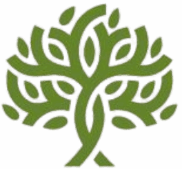 Cropped cropped 8f6ad9c2 7c0b 474e 8fce 8ce6072e92f9 removebg preview.png