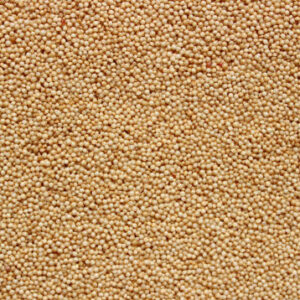 A brown background with amaranth