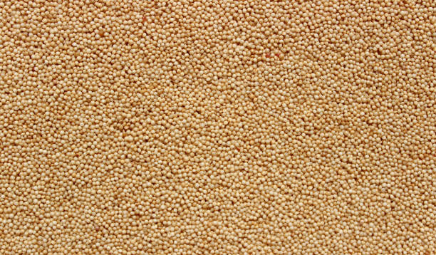 A brown background with amaranth