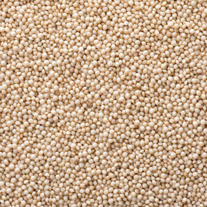 Macro closeup of tiny raw seeds of amaranth filling image frame
