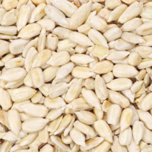 Roasted sunflower seeds close up